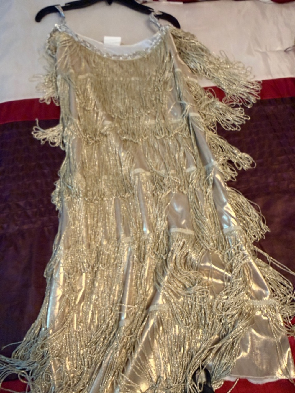 1920s Flapper Costume Champagne Fringe Dress + Wig + Accessories Set